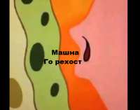 427x337