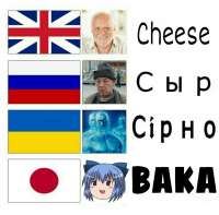 720x711