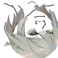 5000x5000