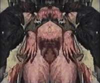 600x495