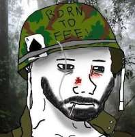334x337