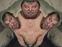 600x456