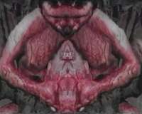 600x481