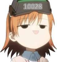 337x363