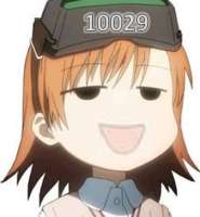 337x363