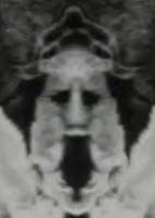 216x304