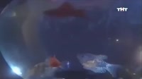 640x360