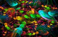 1200x783