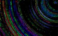 2880x1800
