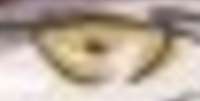 1101x560