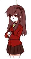 337x646