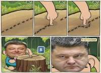 400x290