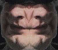 600x511