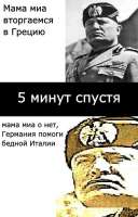 477x744