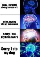 460x647