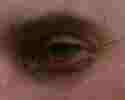 125x100