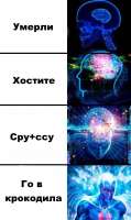 519x870