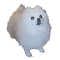 1200x1200