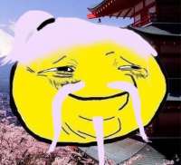 376x343