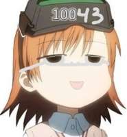337x363