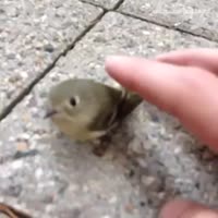 360x360
