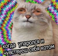 460x442