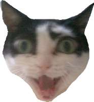 259x279