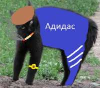 370x328