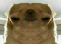 290x213