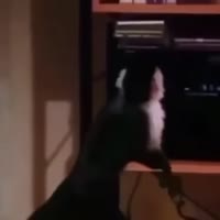 360x360