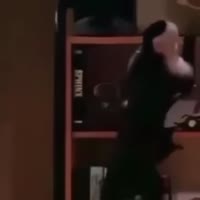 360x360