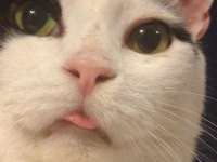 400x300