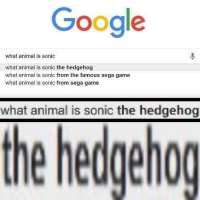 500x500