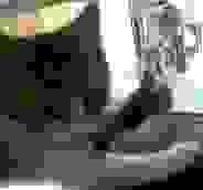 184x172