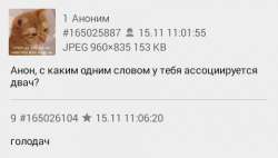 480x274