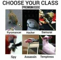 460x454
