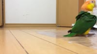 640x360