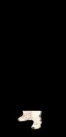 385x800
