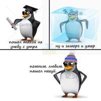 720x720