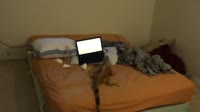 1280x720