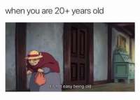 460x331