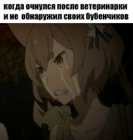 480x504