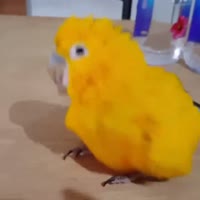 720x720