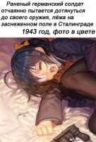 592x867