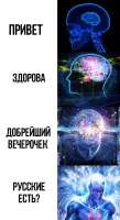 483x884