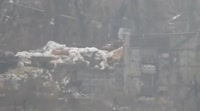 400x222