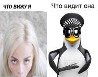 960x761