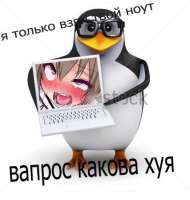 1218x1280