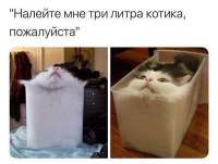 400x303