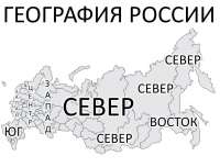 1000x764